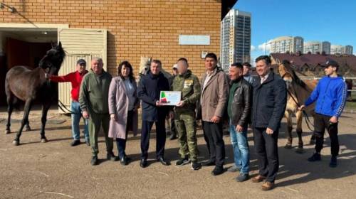Из Казани в зону СВО передана вторая партия лошадей