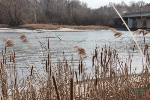 Новая неделя в Татарстане начнется с грозы и сильного ветра