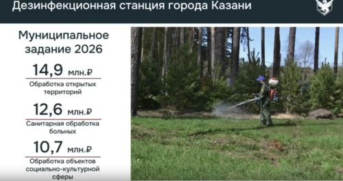 В Казани ожидают рост грызунов и клещей — на обработки направят на 28% больше средств
