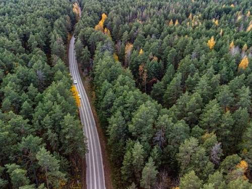 «Застроят элитными коттеджами»: татарстанцы переживают за судьбу заповедников после принятия нового закона