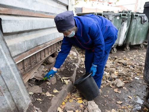 Операция «Дератизация»: в мэрии Казани обсудили, как бороться с нашествием грызунов и подтоплением домов