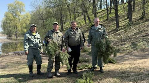 На водоемах Татарстана установили 8 км еловых нерестилищ