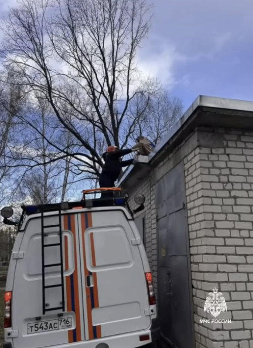 В Казани спасатели сняли 10-летнего ребенка с крыши трансформаторной будки
