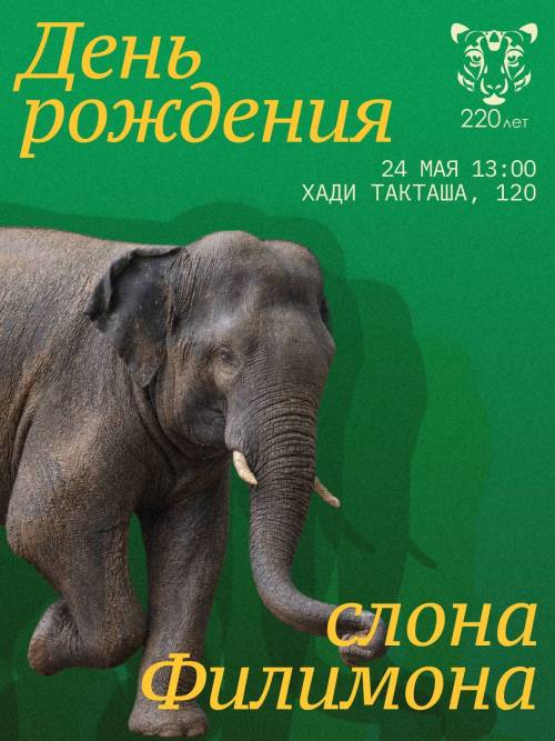 24 мая в зоопарке Казани отметят день рождения слона Филимона