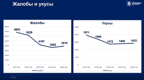 Число жалоб на безнадзорных животных в Казани упало на 43%