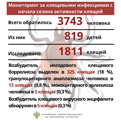 Более 3,7 тыс. человек с укусами клещей обратились к медикам в Татарстане
