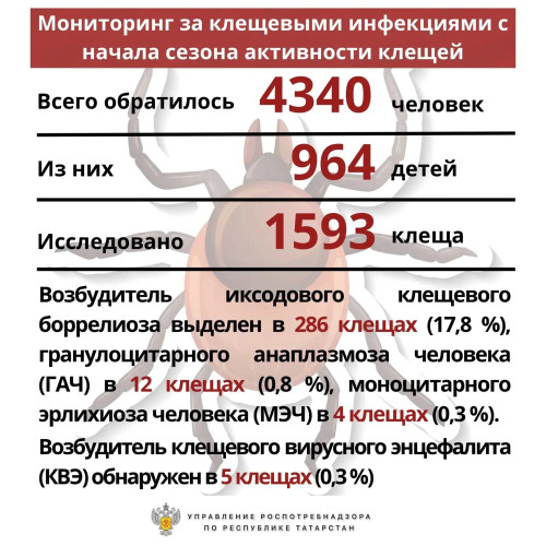 В Татарстане к медикам по поводу укусов клещей обратились более 4,3 тыс. человек