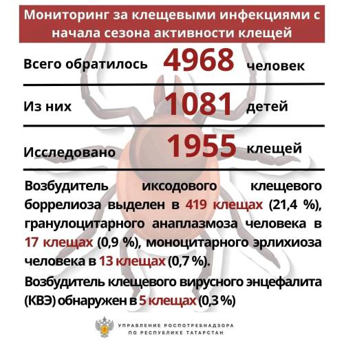 Число пациентов с укусами клещей в Татарстане приблизилось к 5 тысячам