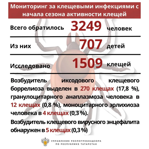 К медикам в Татарстане обратились более 3,2 тыс. человек по поводу укусов клещей