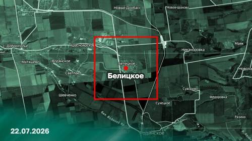 Российские военные освободили город Белицкое в ДНР