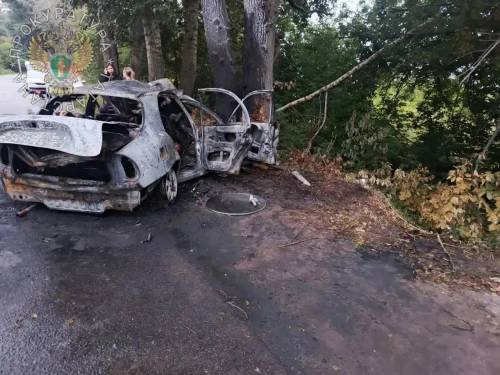 По факту ДТП в Зеленодольске с шестью погибшими подростками возбуждено дело