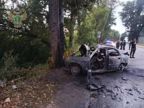 В Зеленодольске иномарка врезалась в дерево - шесть человек погибли