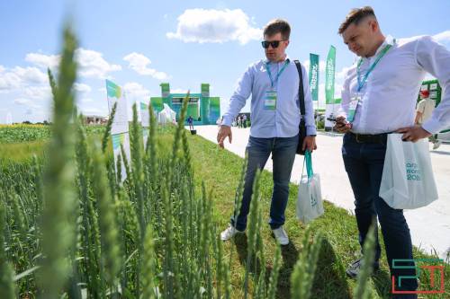 Международная агропромышленная выставка «Агроволга-2026» проходит в Татарстане