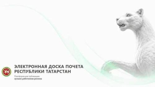 Минниханов: в Татарстане появилась Электронная доска почета