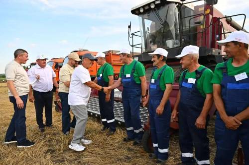 Минниханов после осмотра полей: уборка зерновых в самом разгаре
