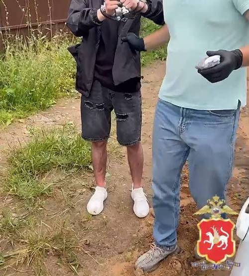 В Казани полицейские пресекли попытку сбыта крупной партии наркотиков – видео