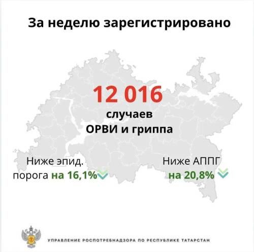 В Татарстане за неделю выявили более 12 тыс. случаев гриппа и ОРВИ