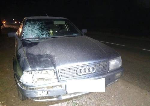 Два пешехода погибли под колесами авто в Татарстане, выйдя на дорогу ночью