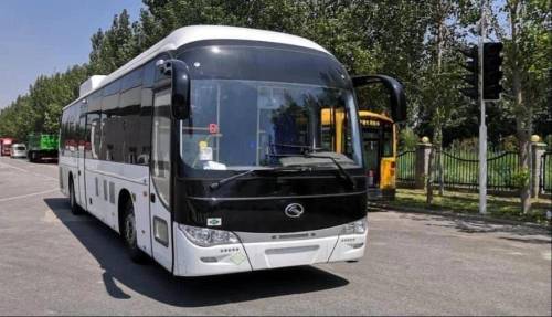Проголосовавшие на думских выборах зеленодольцы получат браслеты для бесплатного проезда