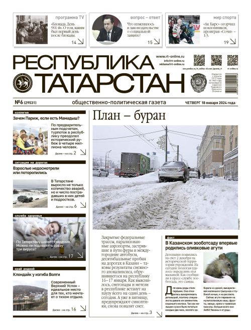 Выпуск №6 (29531)