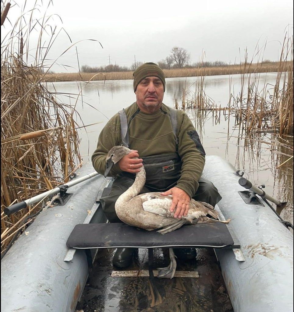 Краснокнижный лебедь спасен в Сармановском районе