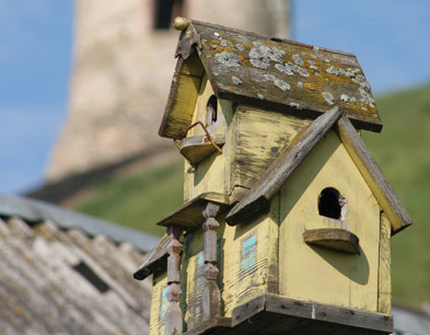 Красота,  увиденная сердцем