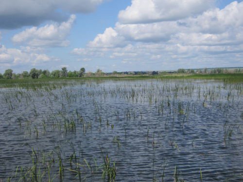 Фоторепортаж из Свияжского заповедника