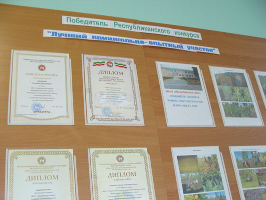 Село Ивашкино Черемшанский район