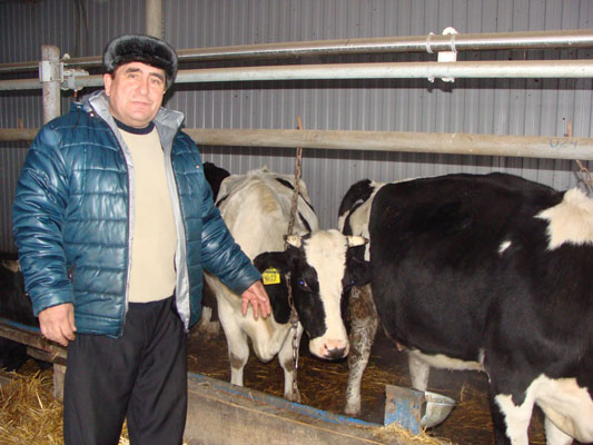 Село Ивашкино Черемшанский район