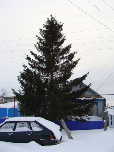 Село Ивашкино Черемшанский район