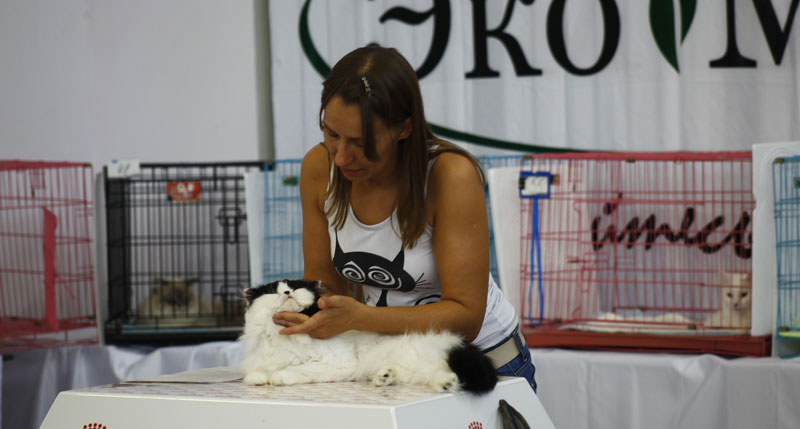 Выставка животных «Домашний зоопарк»