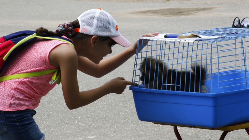 Выставка животных «Домашний зоопарк»