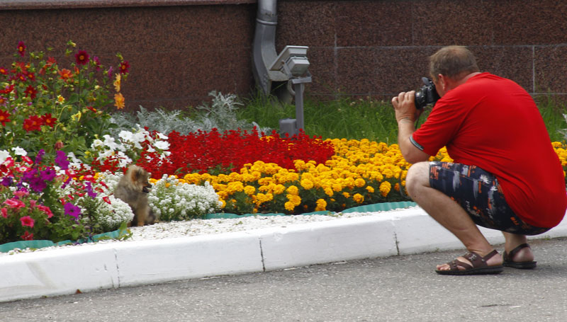 Выставка животных «Домашний зоопарк»