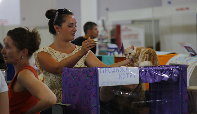 Выставка животных «Домашний зоопарк»