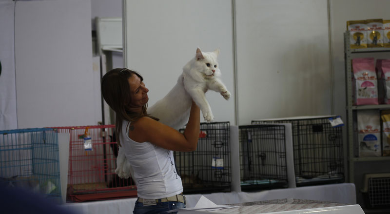 Выставка животных «Домашний зоопарк»