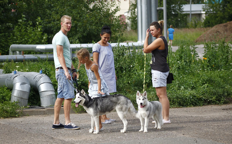 Выставка животных «Домашний зоопарк»