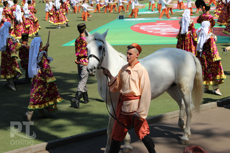 Праздник плуга собрал аншлаг