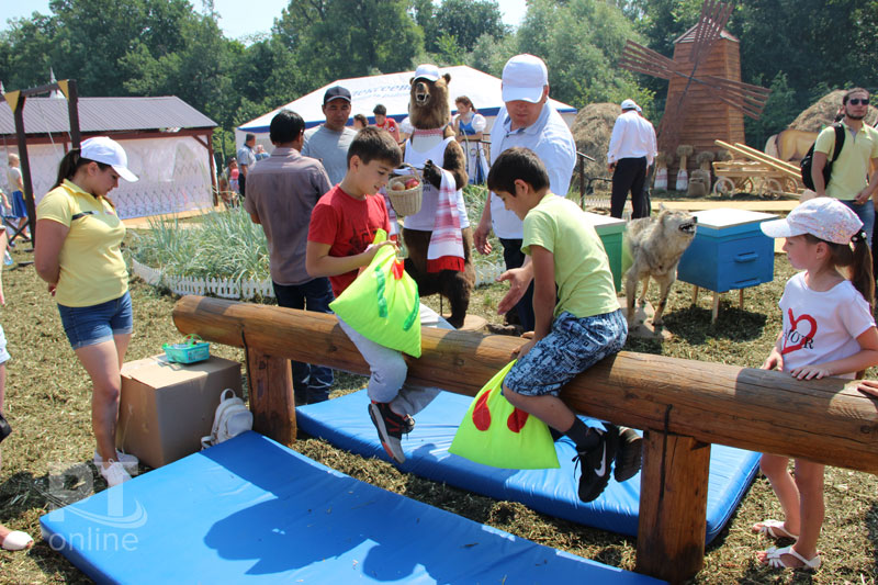 Праздник плуга собрал аншлаг