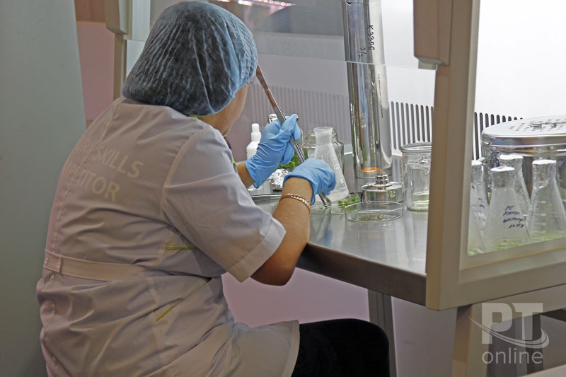 WorldSkills Kazan - 2019