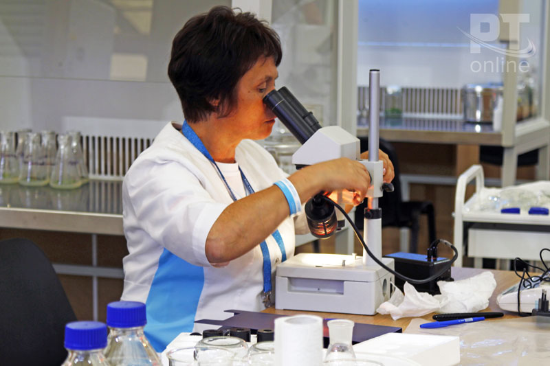 WorldSkills Kazan - 2019