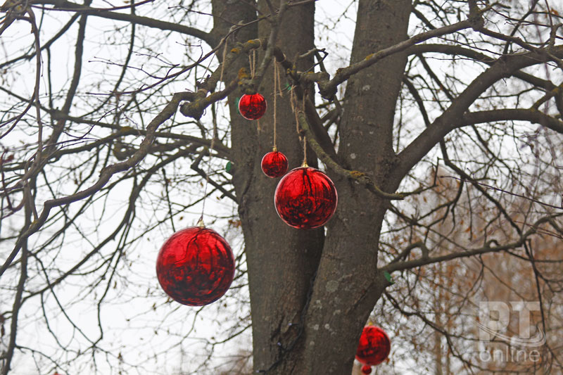 Кыш Бабай обрёл свой дом