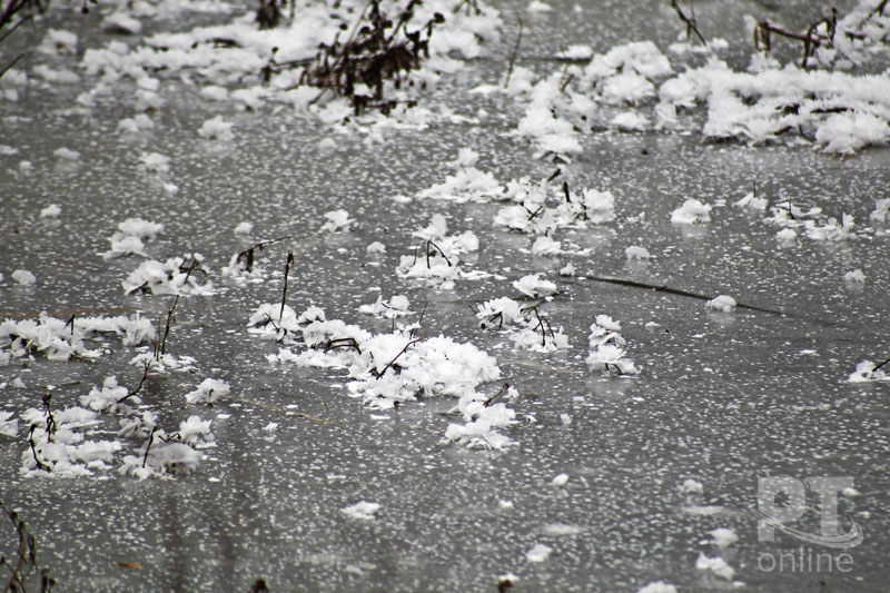 Кыш Бабай обрёл свой дом