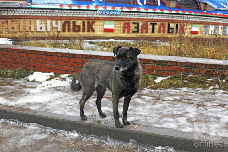 Храм всех религий