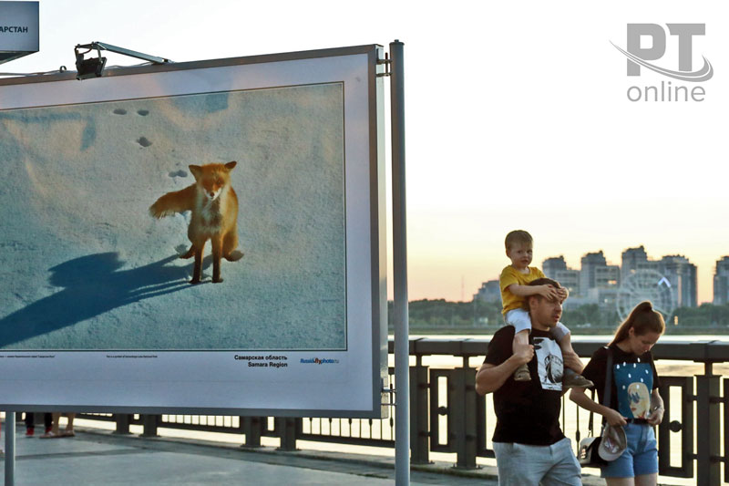 «Волга с высоты птичьего полёта»