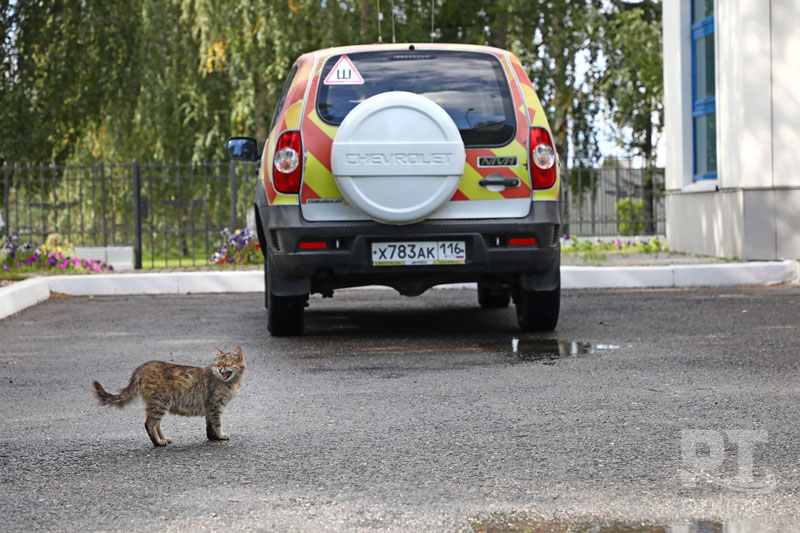 Международный аэропорт «Казань» - 2020