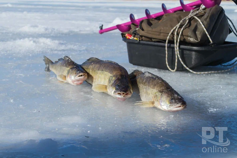 Фестиваль «KZN FISHING УХА»