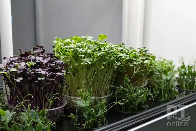 С заботой о земле-кормилице