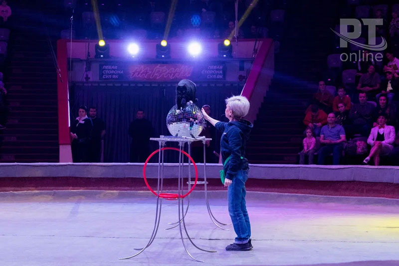 Цирк, он и на репетиции цирк