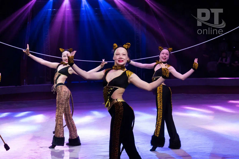 Цирк, он и на репетиции цирк