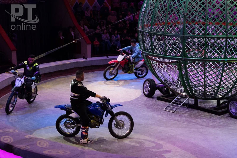 Цирк, он и на репетиции цирк